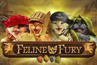 Feline fury