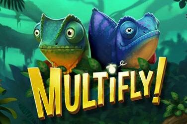 Multifly!
