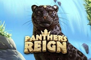 Panther's reign